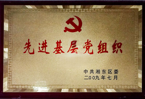 先进基层党组织