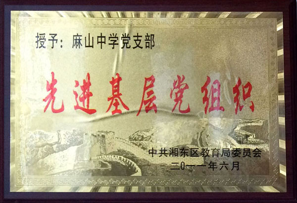 先进基层党组织