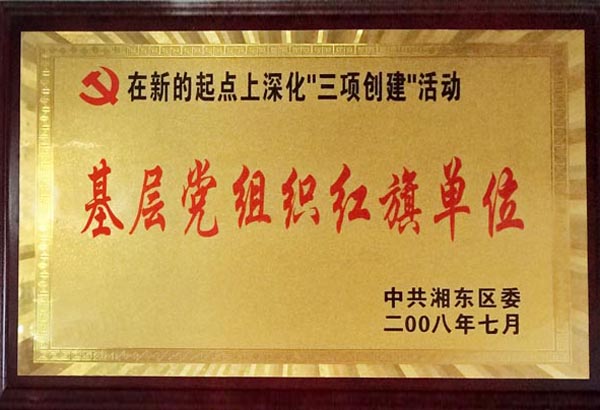 基层党组织红旗单位